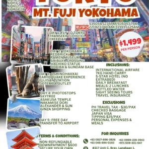 Tokyo Tour Package